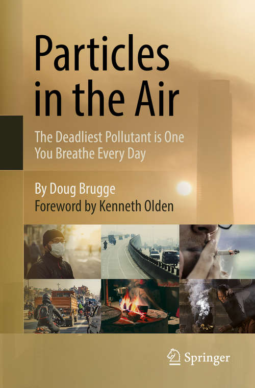 Book cover of Particles in the Air: The Deadliest Pollutant is One You Breathe Every Day