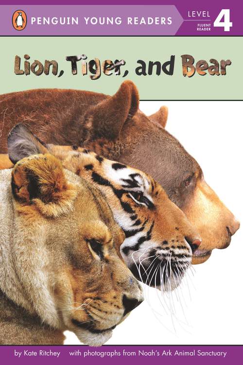 Book cover of Lion, Tiger, and Bear (Penguin Young Readers, Level 4)