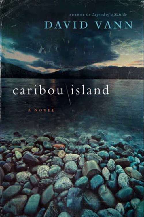Book cover of Caribou Island
