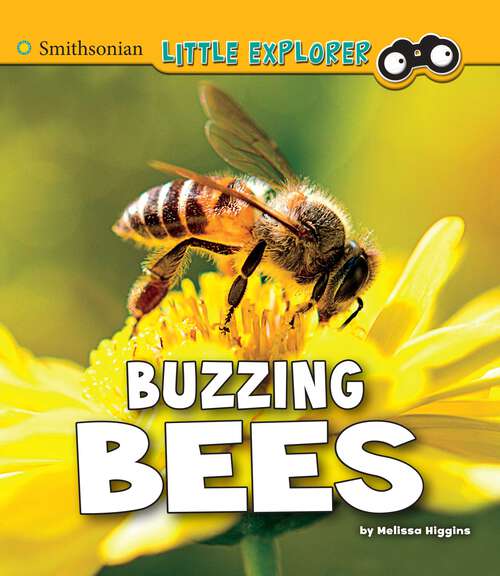 Book cover of Buzzing Bees: A 4d Book (Little Entomologist 4d Ser.)