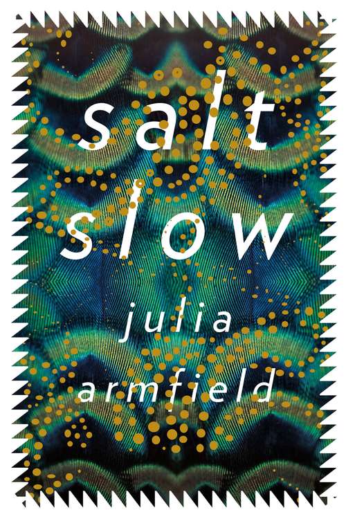 Book cover of Salt Slow