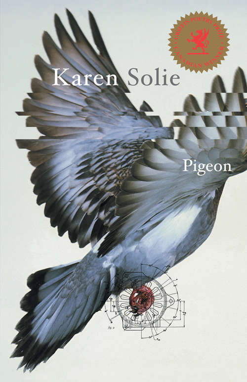 Book cover of Pigeon: Poems