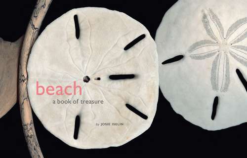 Book cover of Beach