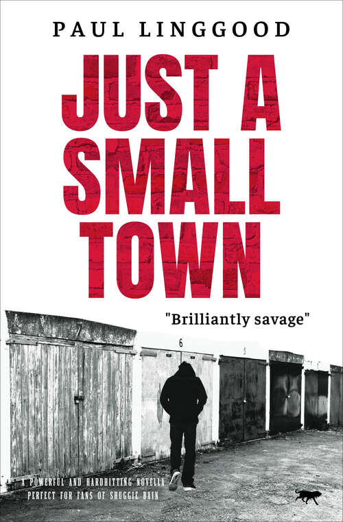 Book cover of Just a Small Town: A powerful and hardhitting literary novella perfect for fans of Shuggie Bain