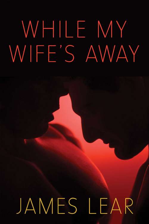 Book cover of While My Wife's Away