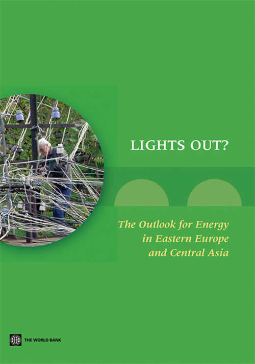 Book cover of Lights Out? The Outlook for the Energy Sector in Eastern Europe and the Former Soviet Union
