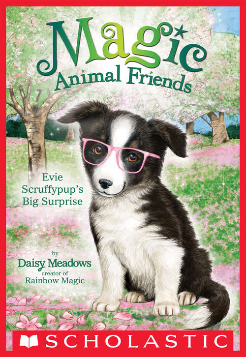 Book cover of Evie Scruffypup's Big Surprise: 10: Evie Scruffypup's Big Surprise (Magic Animal Friends #10)