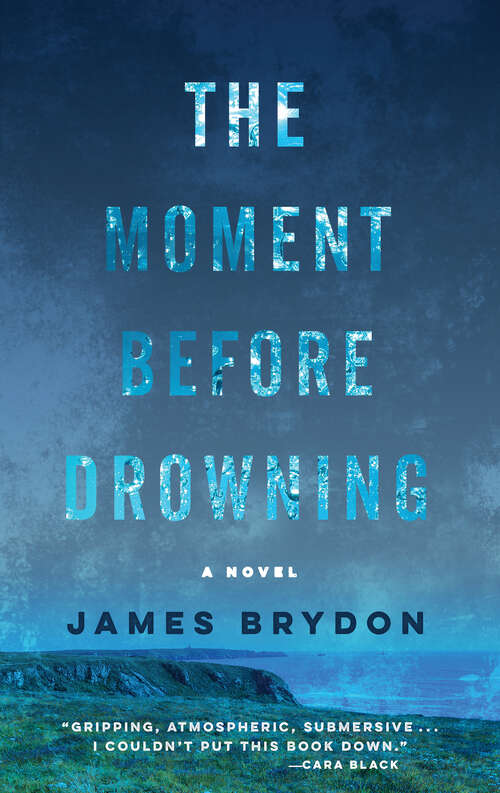 Book cover of The Moment Before Drowning: A Novel