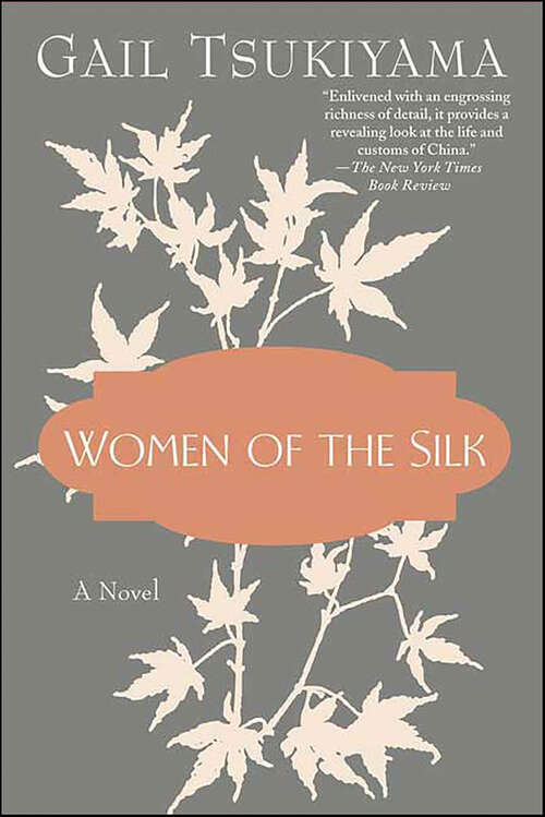Book cover of Women of the Silk: A Novel