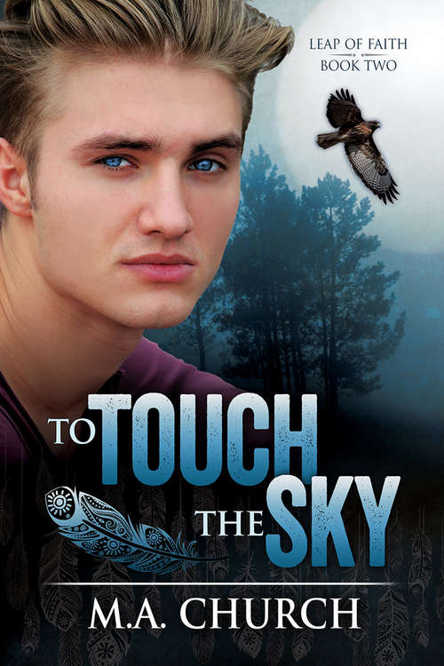 Book cover of To Touch the Sky