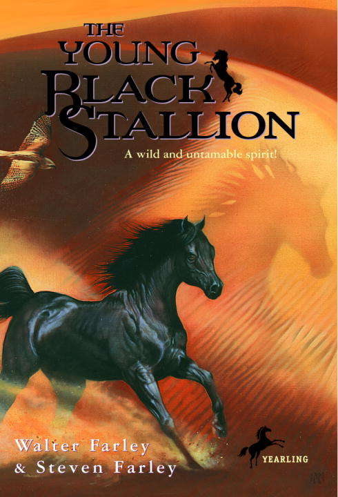 Book cover of The Young Black Stallion