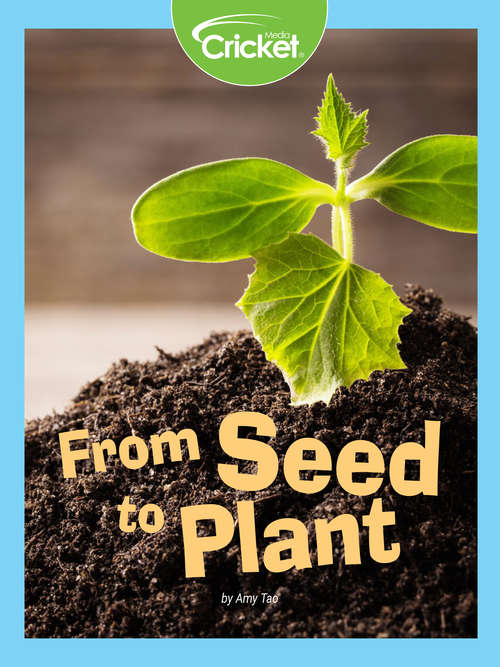 Book cover of From Seed to Plant