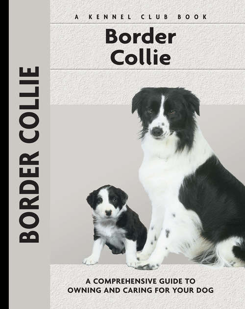 Book cover of Border Collie