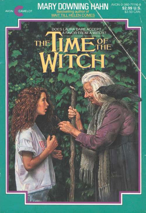 Book cover of Time of the Witch