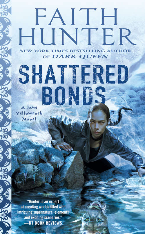 Shattered Bonds (Jane Yellowrock #13)