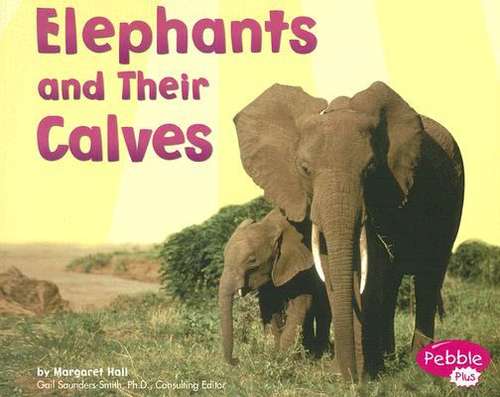 Book cover of Animal Offspring : Elephants and Their Calves