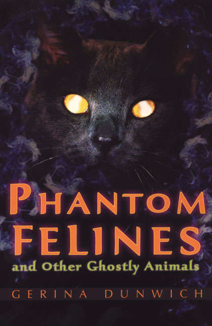 Phantom Felines And Other Ghostly Animals