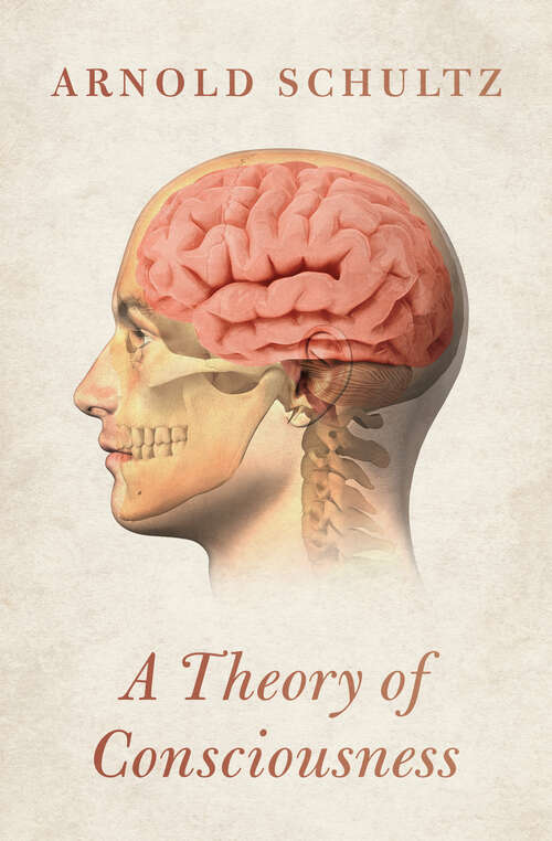Book cover of A Theory of Consciousness (Digital Original)