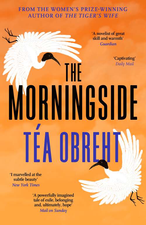 Book cover of The Morningside