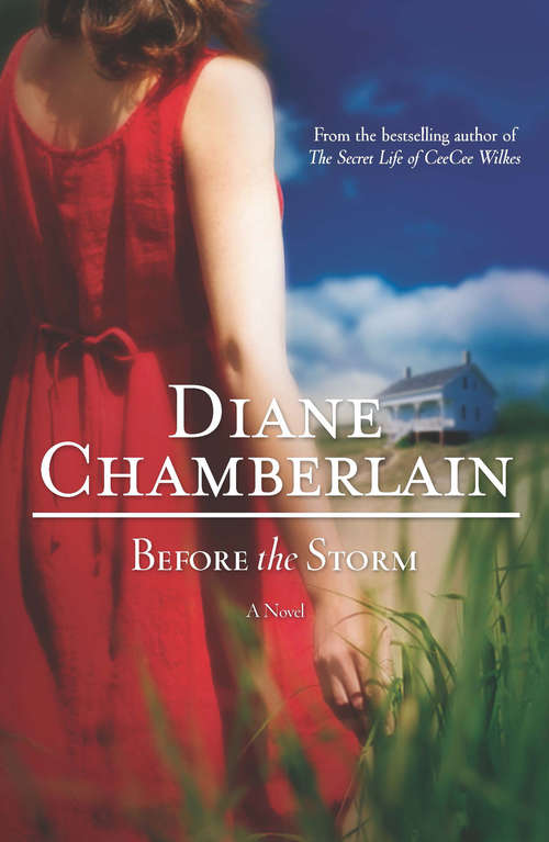 Book cover of Before the Storm