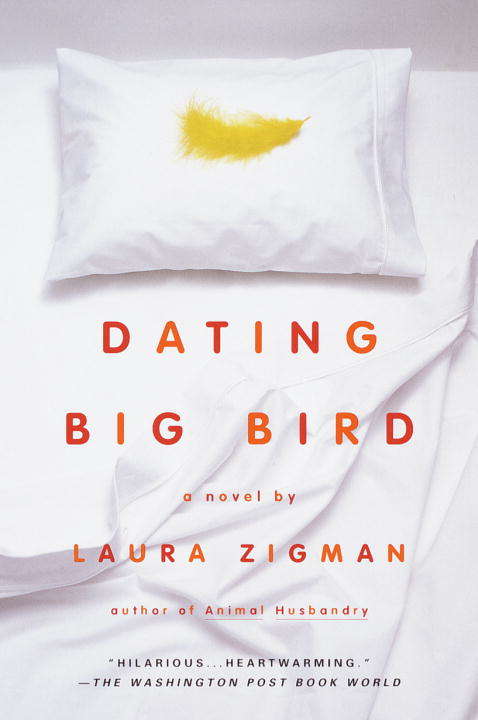 Book cover of Dating Big Bird