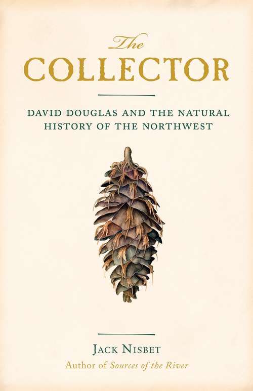 Book cover of The Collector
