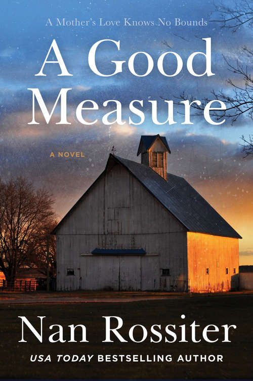 A Good Measure: A Novel (Savannah Skies #3)