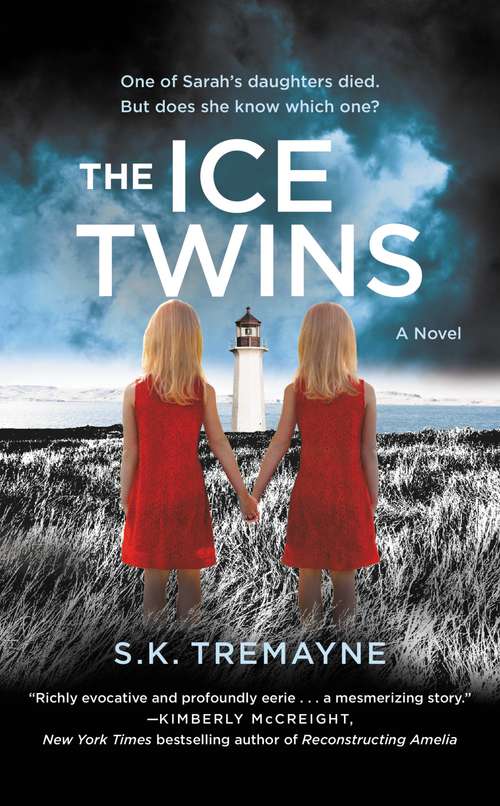Book cover of The Ice Twins: A Novel