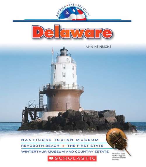 Book cover of America the Beautiful: Delaware