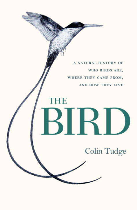 Book cover of The Bird: A Natural History of Who Birds Are, Where They Came From, and How They Live