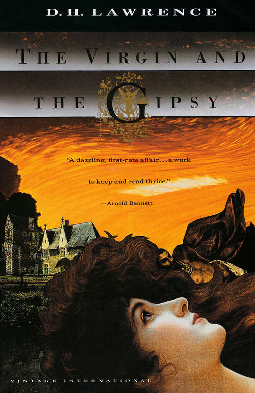 Book cover of The Virgin and the Gipsy