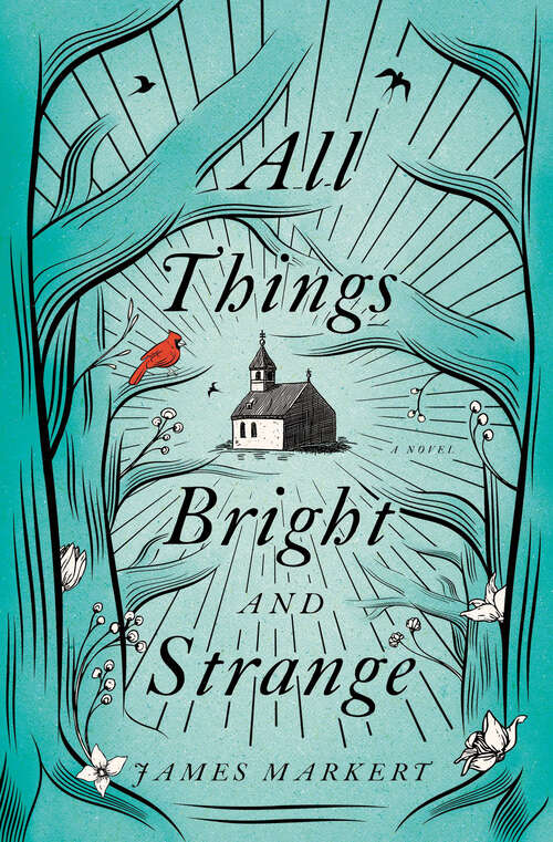 Book cover of All Things Bright and Strange: A Novel