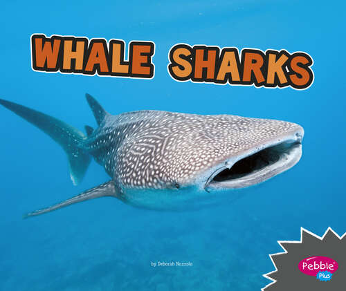 Book cover of Whale Sharks (All About Sharks Ser.)