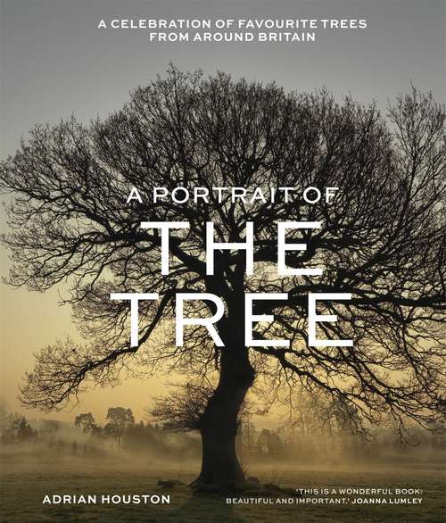 Book cover of A Portrait of the Tree: A celebration of favourite trees from around Britain