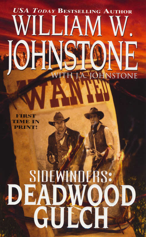 Book cover of Sidewinders: Deadwood Gulch