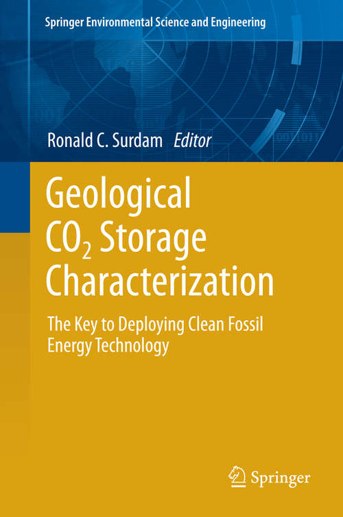 Book cover of Geological CO2 Storage Characterization