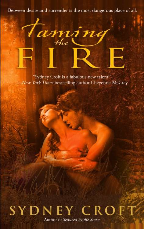 Book cover of Taming the Fire