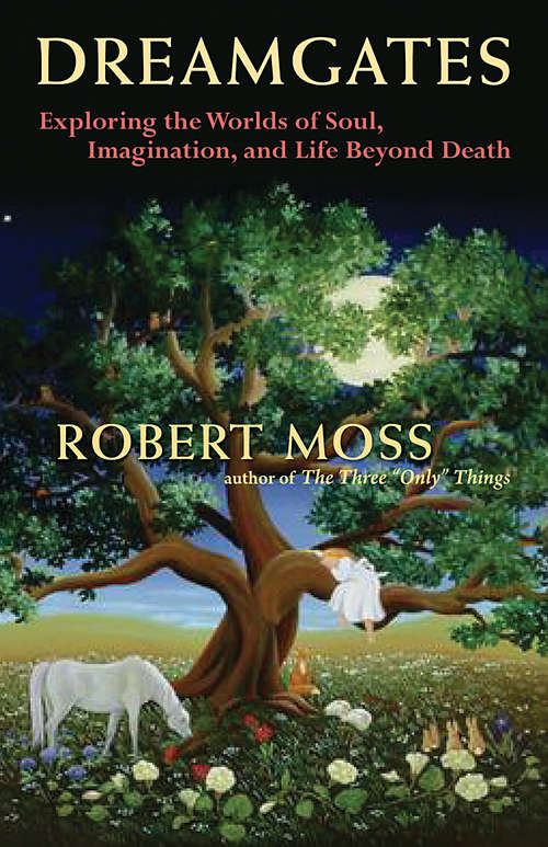 Book cover of Dreamgates