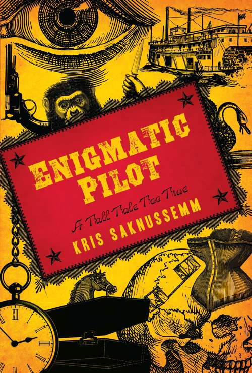 Book cover of Enigmatic Pilot