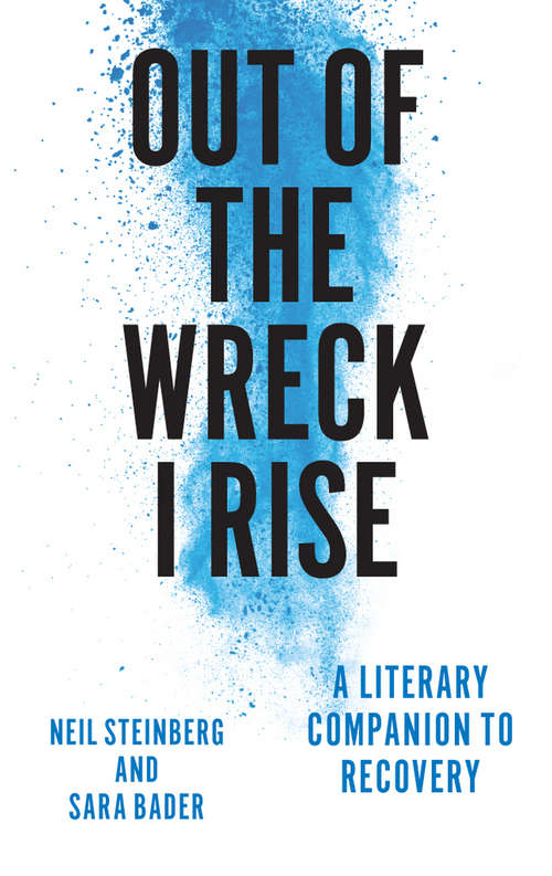 Book cover of Out of the Wreck I Rise: A Literary Companion to Recovery