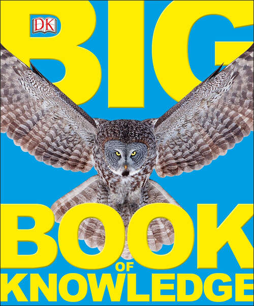 Book cover of Big Book of Knowledge