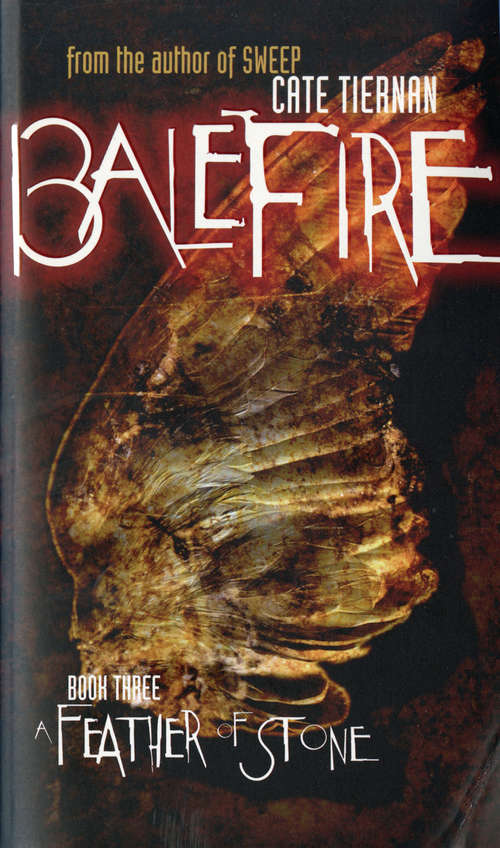 Book cover of A Feather of Stone (Balerfire #3)