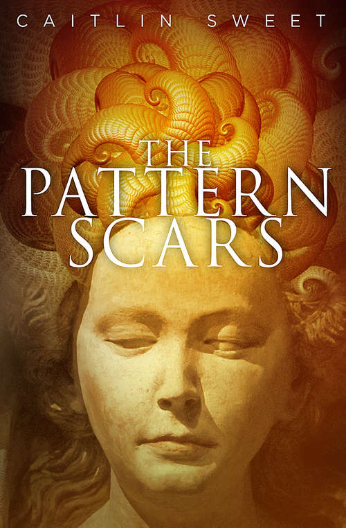 Book cover of The Pattern Scars