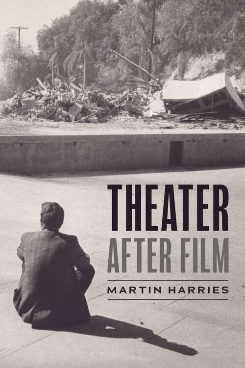 Book cover of Theater after Film