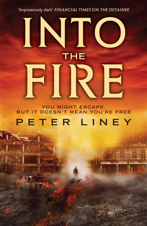 Book cover of Into The Fire: The Detainee Book 2 (The Detainee #2)