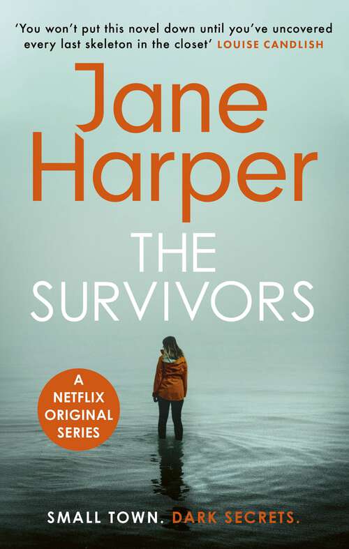 Book cover of The Survivors: Small Town. Dark Secrets . . .