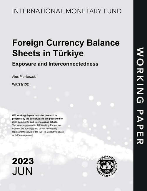 Book cover of Foreign Currency Balance Sheets in Türkiye: Exposure and Interconnectedness (Imf Working Papers)