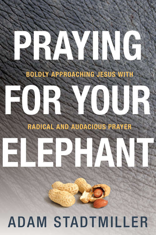 Book cover of Praying for Your Elephant