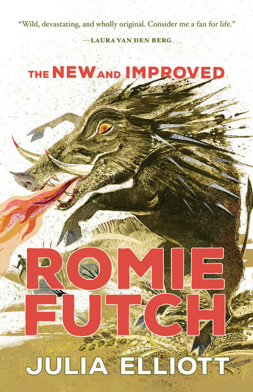 Book cover of The New and Improved Romie Futch