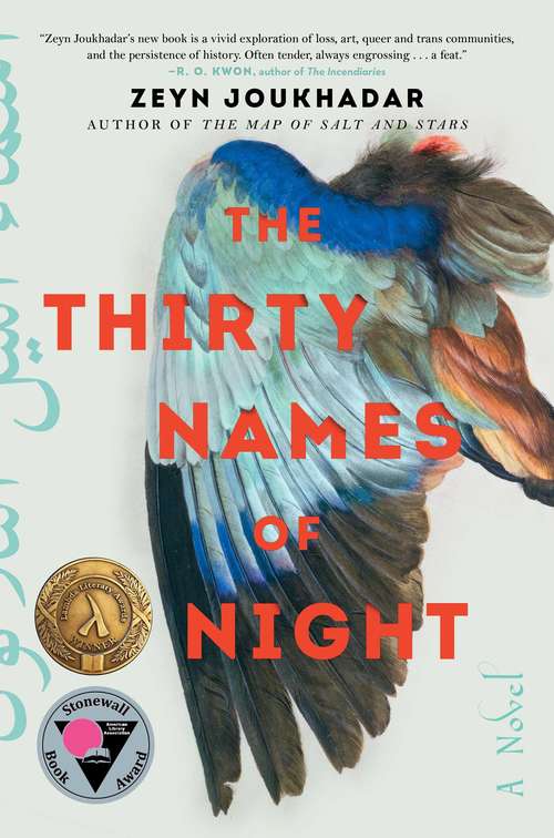 Book cover of The Thirty Names of Night: A Novel